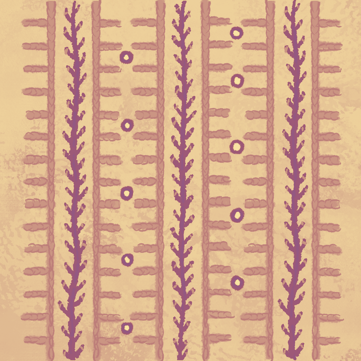 Saankdi  & Mirror Embroidery
